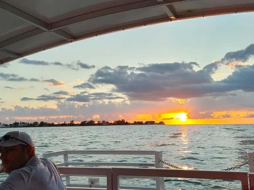 Anna Maria Island: Sunset Dolphin Cruise - Should you book the Anna Maria Island Sunset Dolphin Cruise?