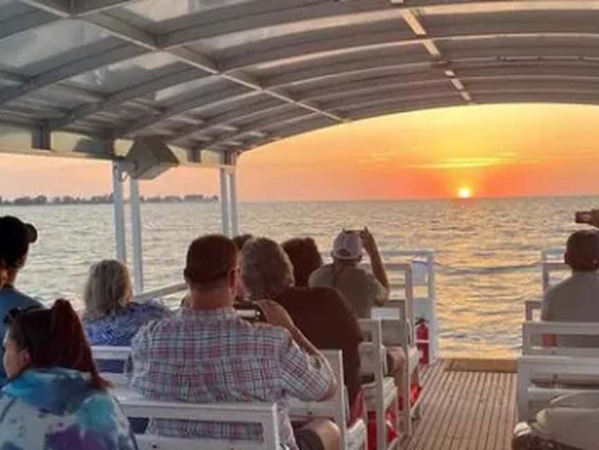 Anna Maria Island: Sunset Dolphin Cruise - The Gulf Coast ride and beach views