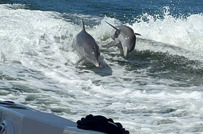 Aqua Sol Adventures-4.5 hour Private Snorkeling,Dolphin,shelling - Key Things to Know Before You Book
