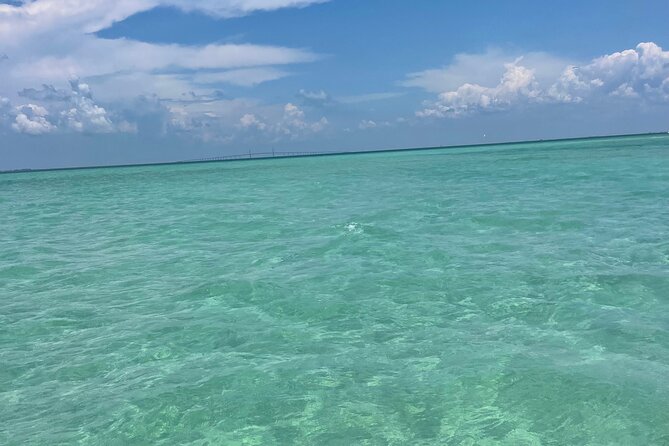 Aqua Sol Adventures-4.5 hour Private Snorkeling,Dolphin,shelling - Setting Out From Gulfport at 4630 29th Avenue South