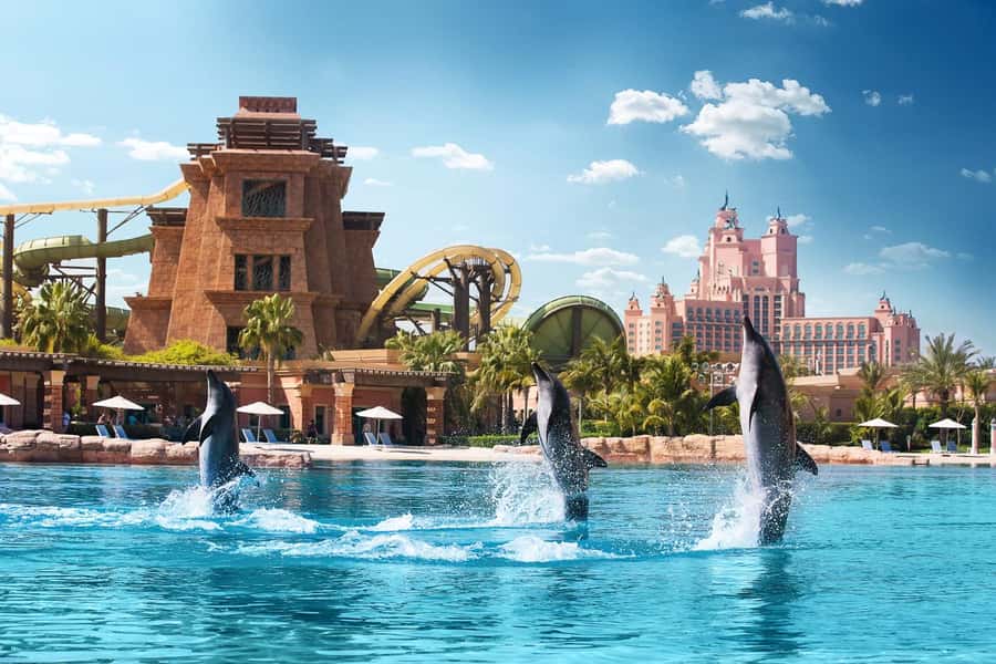 Aquaventure World: Dolphin Paddle and Waterpark Day Pass - What the Dolphin Paddle actually includes