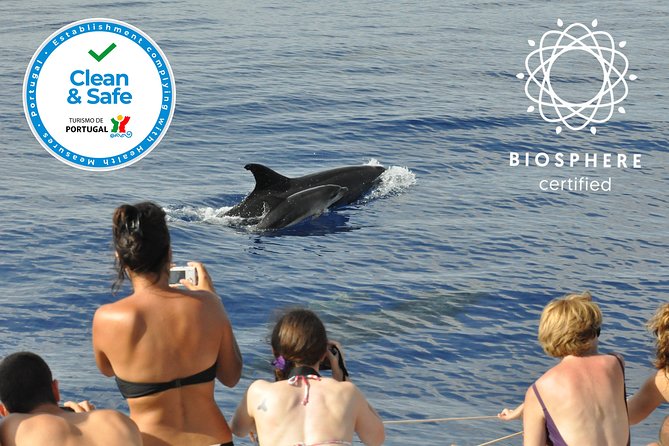 Arieiro Peak and Cristo Rei 4x4 Experience + Dolphins Watching - Cristo Rei at Garajau, with coast and history