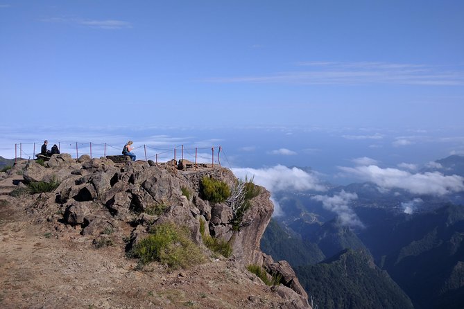 Arieiro Peak and Cristo Rei 4x4 Experience + Dolphins Watching - Three hours on the water searching for dolphins and whales
