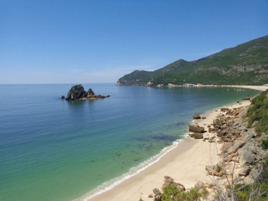 Arrábida Natural Park/Sesimbra: Dolphin Watching - Coastal Views Beyond the Dolphins