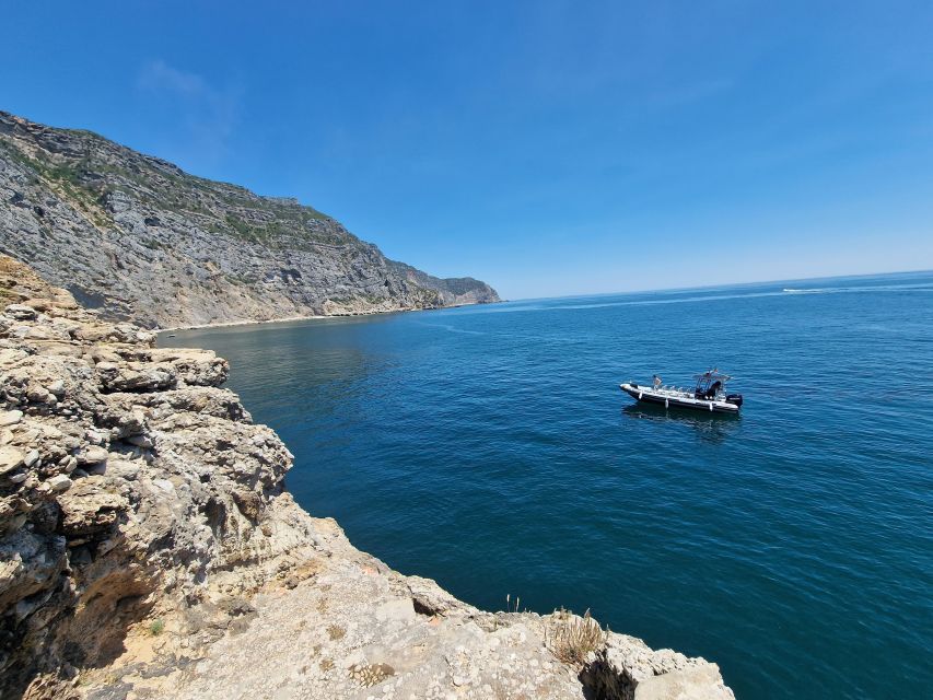 Arrábida Natural Park/Sesimbra: Dolphin Watching - What the $70 Price Buys You