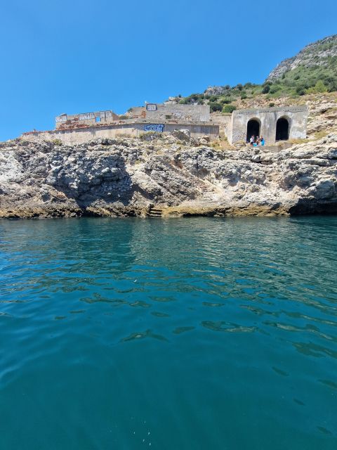 Arrábida Natural Park/Sesimbra: Dolphin Watching - Who Will Enjoy This Most