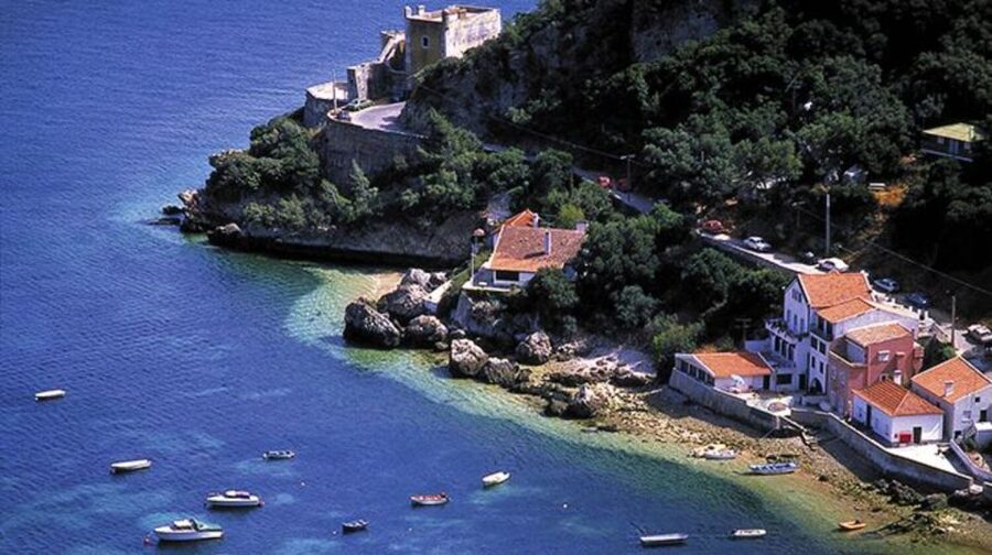 Arrábida Natural Park/Sesimbra: Dolphin Watching - Practical Preparation for the Morning or Afternoon