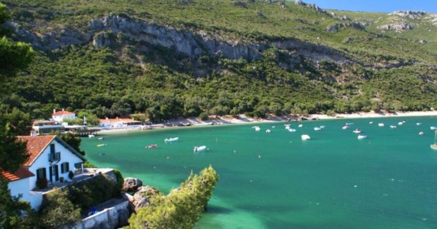 Arrábida Natural Park/Sesimbra: Dolphin Watching - Ninety Minutes in Arrábida Natural Park