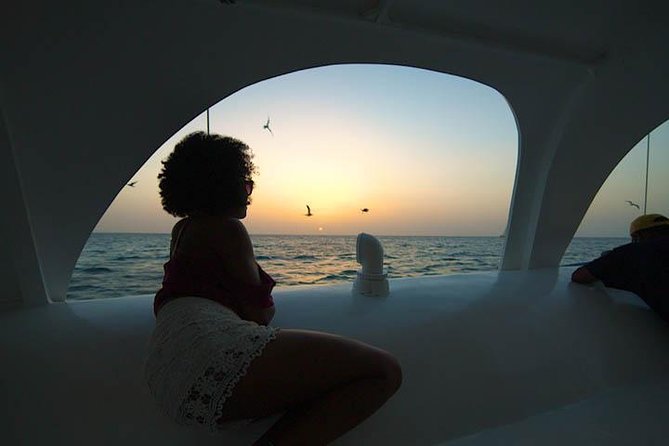 Aruba Sunset Sail Cruise Aboard The Dolphin Catamaran - The swim stop, rope swing, and waterslide