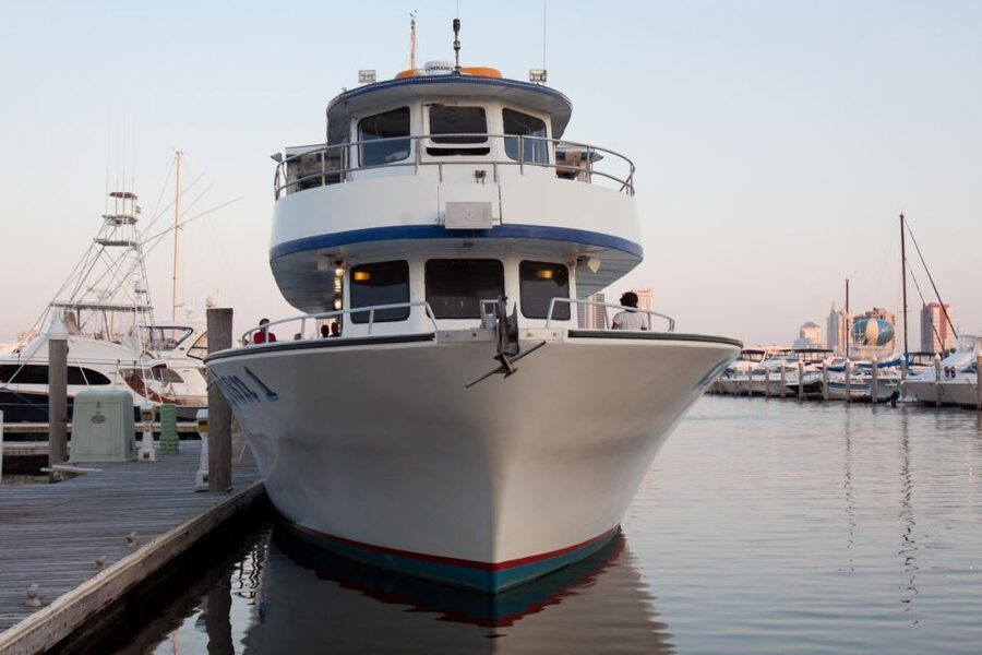 Atlantic City: Dolphin Watching Ocean Cruise Adventure - The Marine Commentary and What You Learn