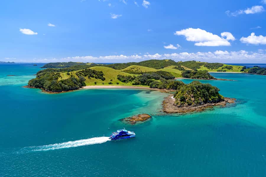 Auckland: Bay of Islands Day Tour with Dolphin Cruise - Key points at a glance