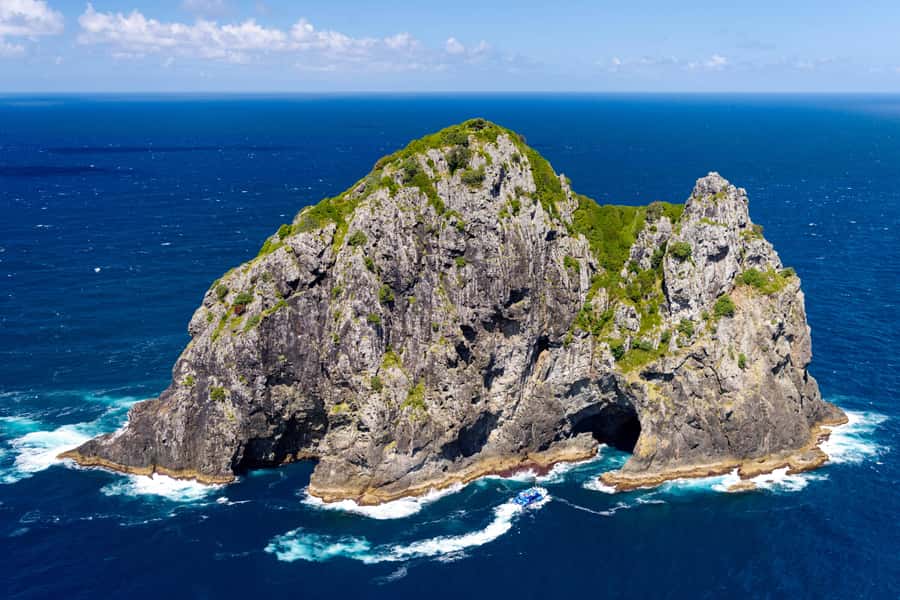 Auckland: Bay of Islands Day Tour with Dolphin Cruise - Practical tips for making the day easier