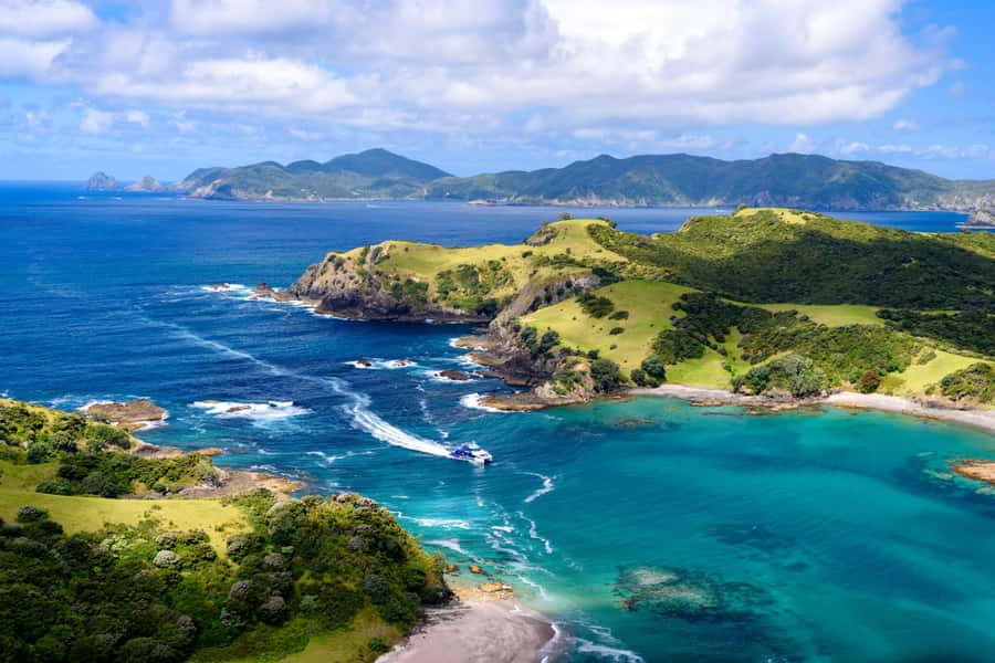 Auckland: Bay of Islands Day Tour with Dolphin Cruise - Why this Auckland day trip works