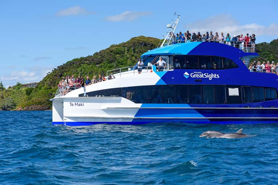 Auckland: Bay of Islands Day Tour with Dolphin Cruise - Who should book this experience?