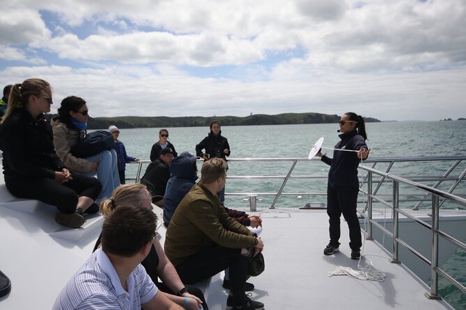 Auckland Dolphin and Whale Watching Eco-Safari Cruise - Motuihe and Motutapu from the water
