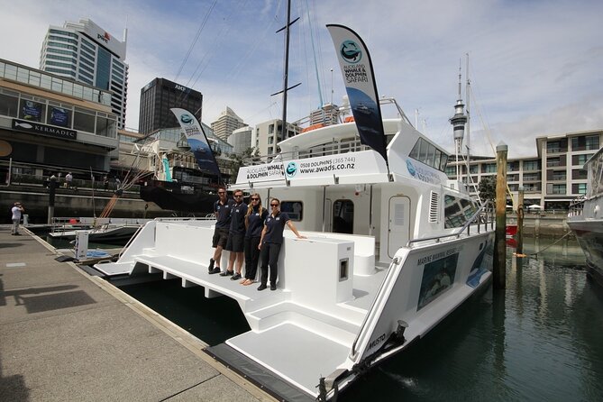 Auckland Dolphin and Whale Watching Eco-Safari Cruise - Viaduct Harbour, the bridge, and Waitemata Harbour