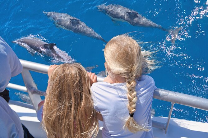 Auckland: Tikapa Moana Dolphin, Whale and Island Cruise - Key points to know before booking