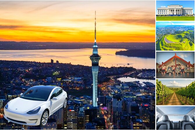 Auckland: Tikapa Moana Dolphin, Whale and Island Cruise - The boat’s comfort matters on a seven-hour day