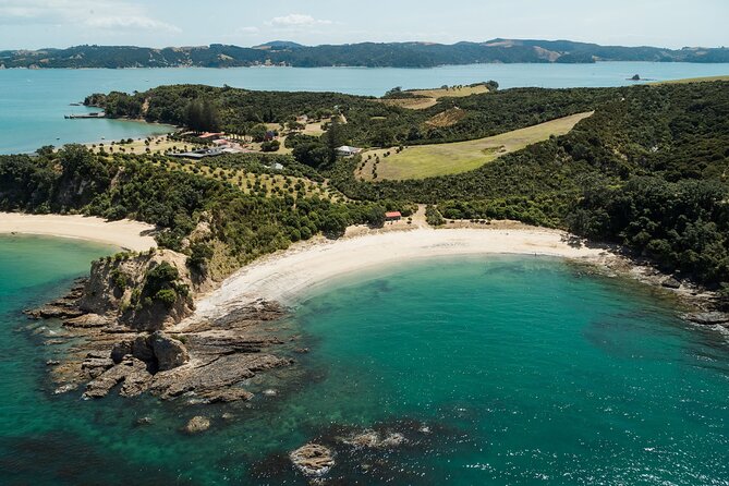 Auckland: Tikapa Moana Dolphin, Whale and Island Cruise - Who will enjoy this cruise most?