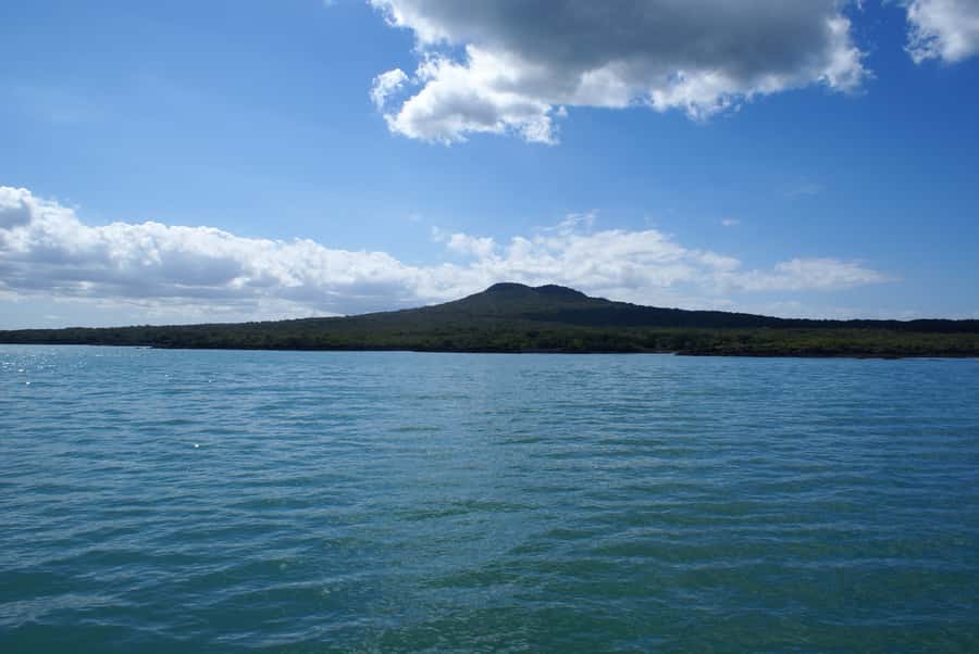 Auckland: Tikapa Moana Whales, Dolphins and Islands Cruise - Rotoroa Island: walks, wildlife, and a short break ashore