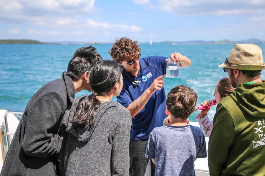 Auckland: Whale and Dolphin Watching Half-Day Eco Cruise - Who will get the most from this cruise?