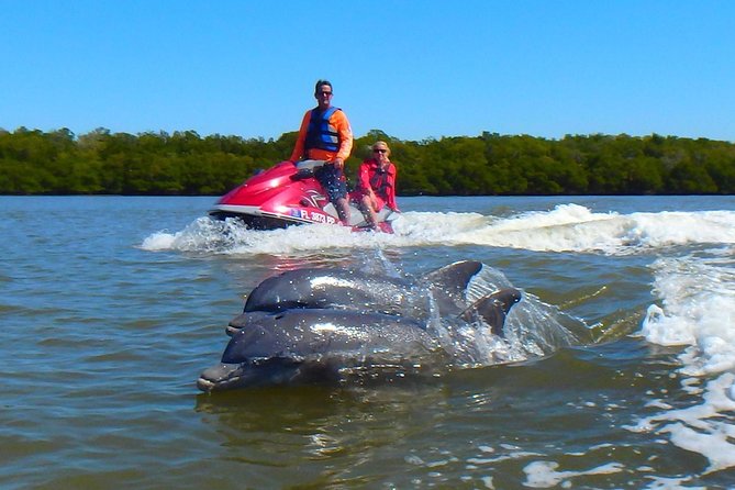 Avi's Premium Dolphin Tour by Jet Ski - Key points at a glance