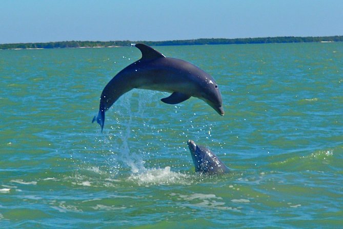 Avi's Premium Dolphin Tour by Jet Ski - Riding two-up through the 10,000 Islands
