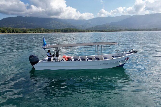 Bahia Ballena Whale and Dolphin Tour - Morning - Key points to know before booking