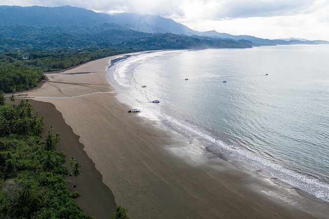 Bahia Ballena Whale and Dolphin Tour - Morning - Guides, food, and the feel on board