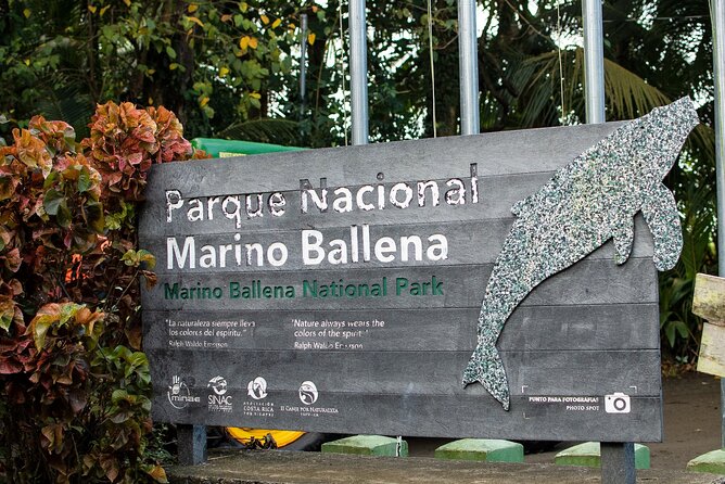 Bahia Ballena Whale and Dolphin Tour - Morning - Starting at Marino Ballena National Park