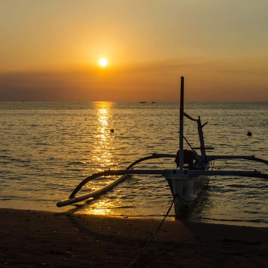 Bali Bliss: Dolphin Lovina Private Expedition - The $18 price: excellent value with important extras