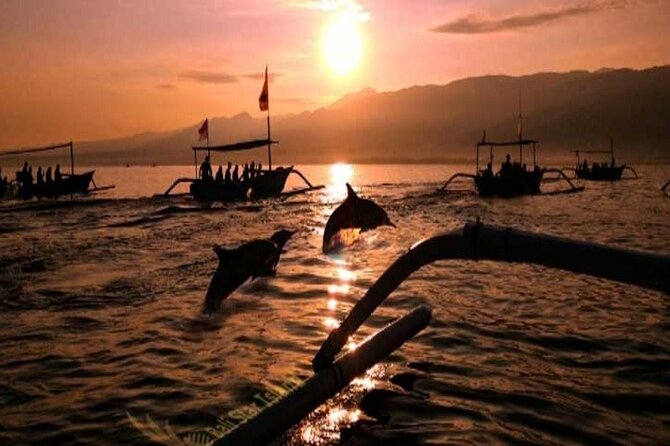 Bali Dolphin Lovina tour and Ulundanu Beratan - Lunch at 11:30 am, with the bill separate