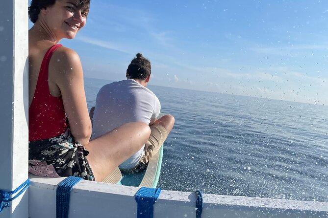 Bali : Dolphin Sunrise Experience Tour Private All Inclusive - Why this North Bali day works