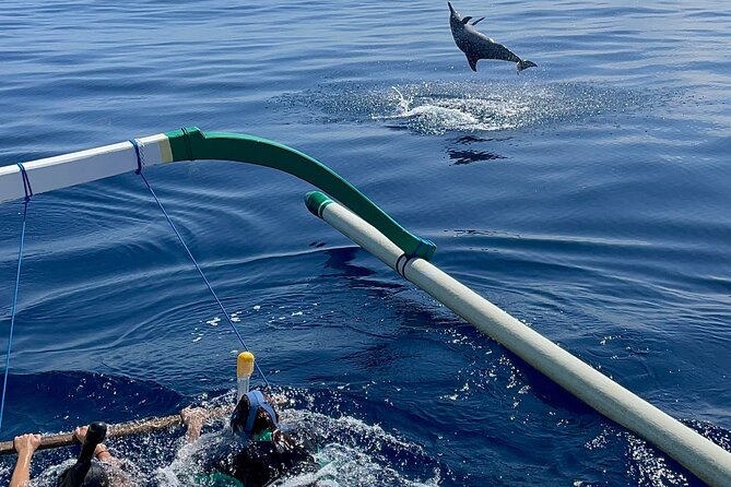 Bali : Dolphin Sunrise Experience Tour Private All Inclusive - Private transport and the value of $33