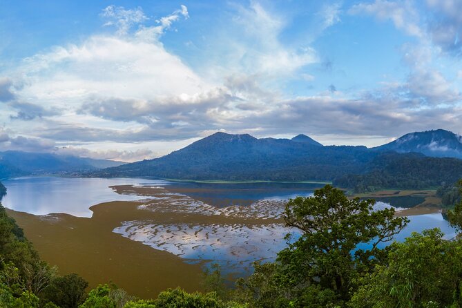 Bali : Dolphin Sunrise Experience Tour Private All Inclusive - Who will enjoy this tour most