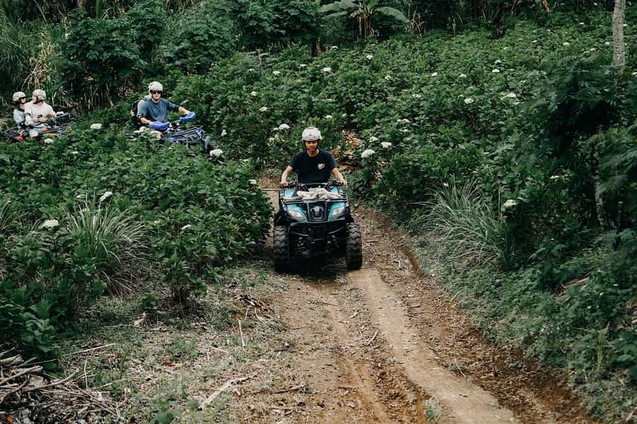 Bali: Dolphin Swimming Tour with ATV Quad Bike & Waterfall - Banyumala Twin Waterfall: the best place to slow down