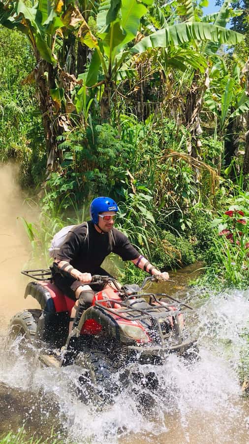 Bali: Dolphin Swimming Tour with ATV Quad Bike & Waterfall - Transport, food and the practical cost