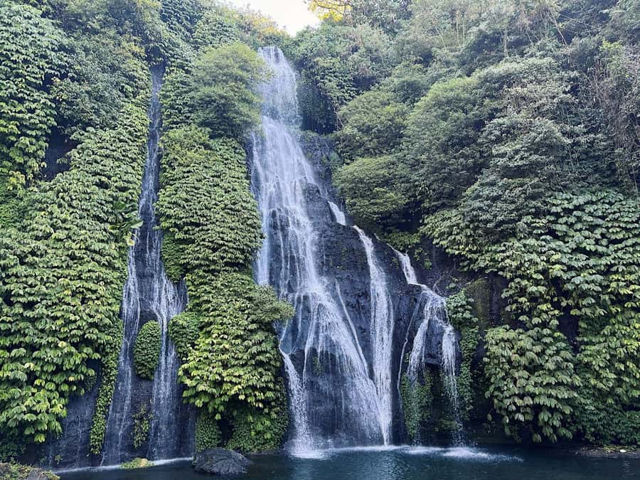 Bali: Dolphin Swimming Tour with ATV Quad Bike & Waterfall - Guides can shape the whole day