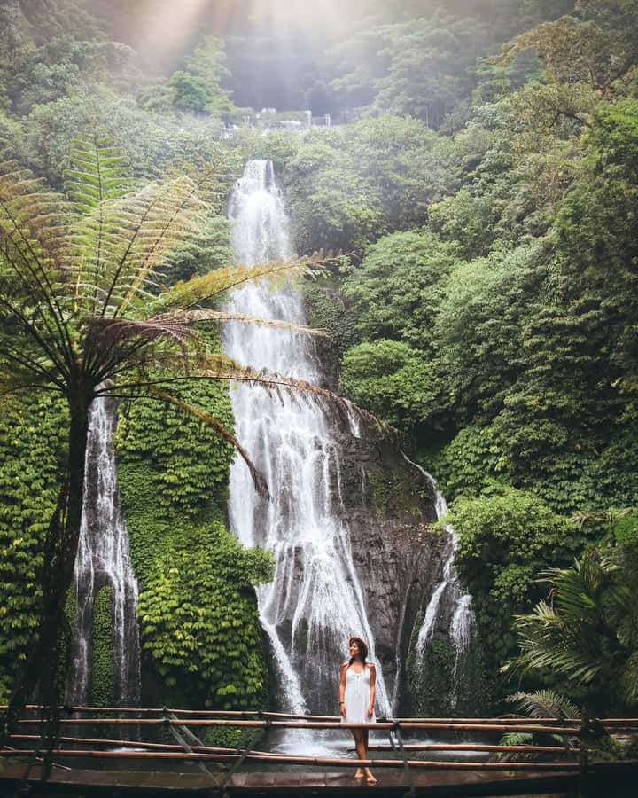 Bali: Dolphin Watching, Snorkeling, and Munduk Day Tour - Banjar Hot Springs For A Warm Reset