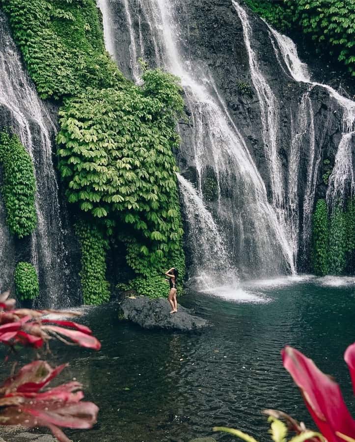 Bali: Dolphin Watching, Snorkeling, and Munduk Day Tour - Guides, Private Transport, and Pace