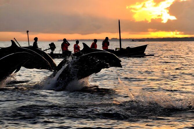 Bali Dolphin Watching Sunrise Tour in Lovina Beach - What $80 actually buys you