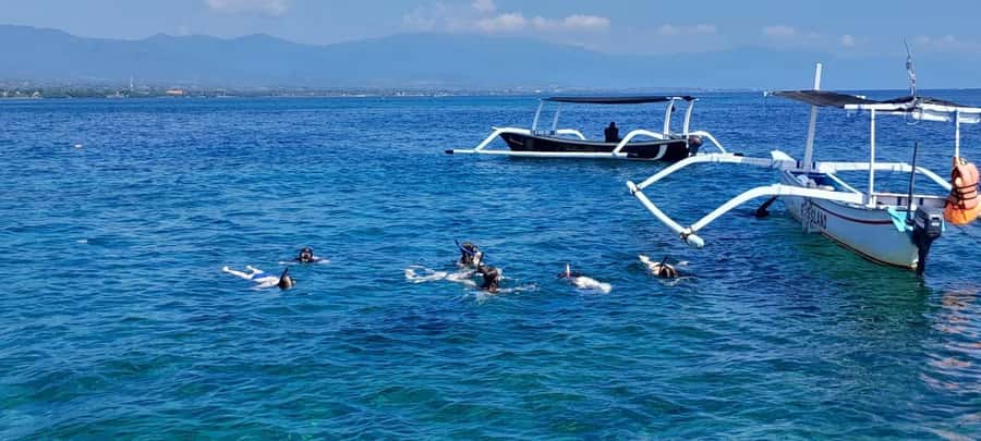 Bali: Lovina dolphin adventure with breakfast and snorkling. - Key points before you book
