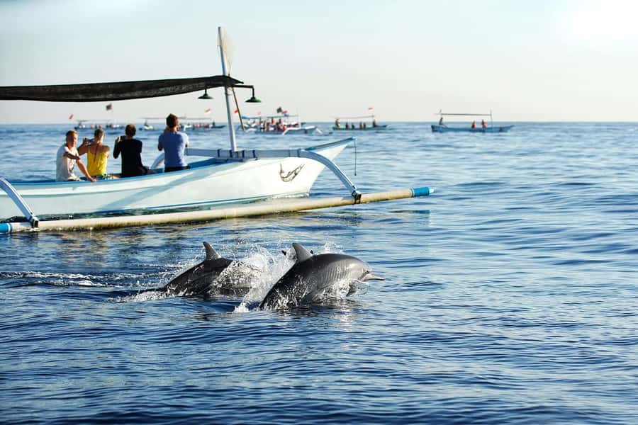 Bali: Lovina dolphin adventure with breakfast and snorkling. - Why this Lovina morning works well
