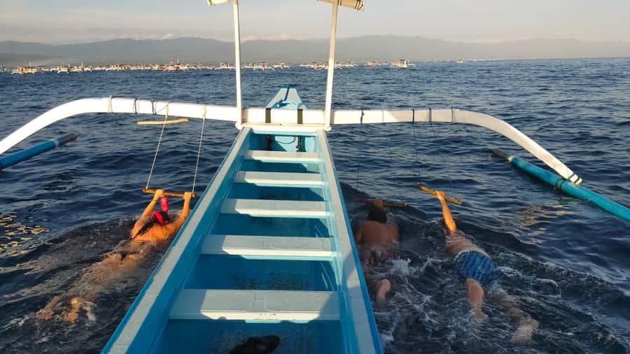 Bali: Lovina dolphin adventure with breakfast and snorkling. - Sunrise dolphin watching from a local boat