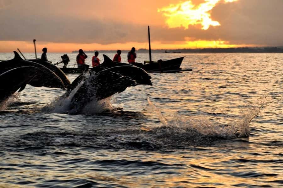 Bali/Lovina: Dolphin Snorkeling, Swimming & Waterfall Tour - Dolphin watching and the ethical problem