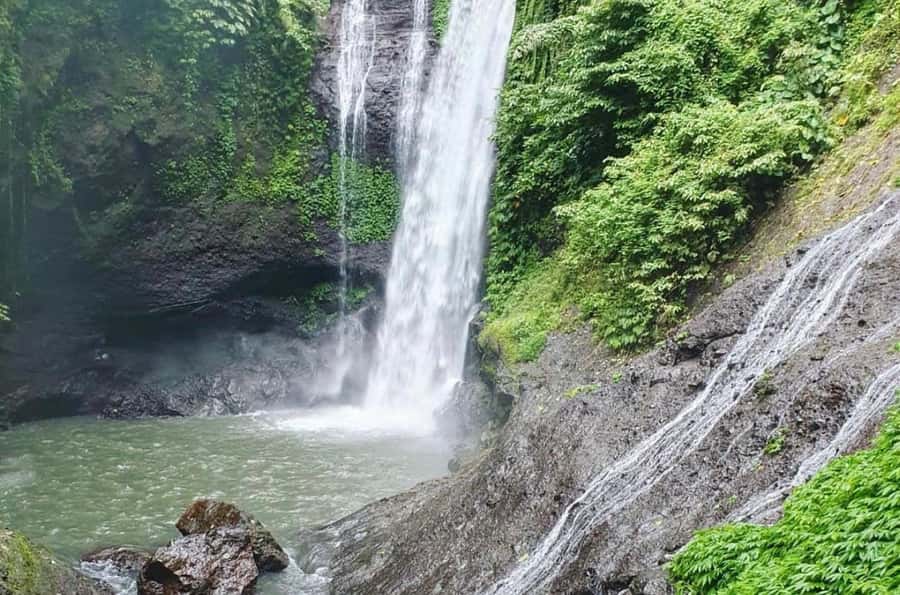 Bali/Lovina: Dolphin Snorkeling, Swimming & Waterfall Tour - Snorkeling near Lovina’s coral reef