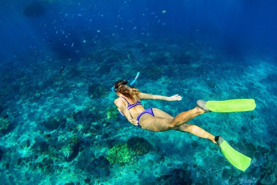 Bali/Lovina: Dolphin Snorkeling, Swimming & Waterfall Tour - Git Git Waterfall and the longer day option