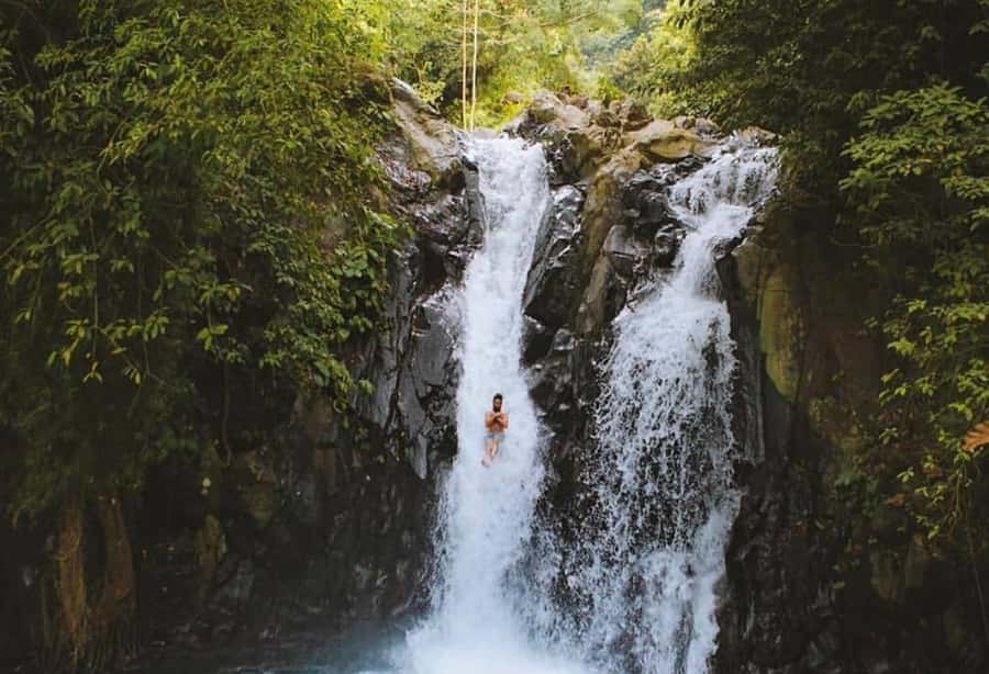 Bali/Lovina: Dolphin Snorkeling, Swimming & Waterfall Tour - Transport, guides, and the real cost