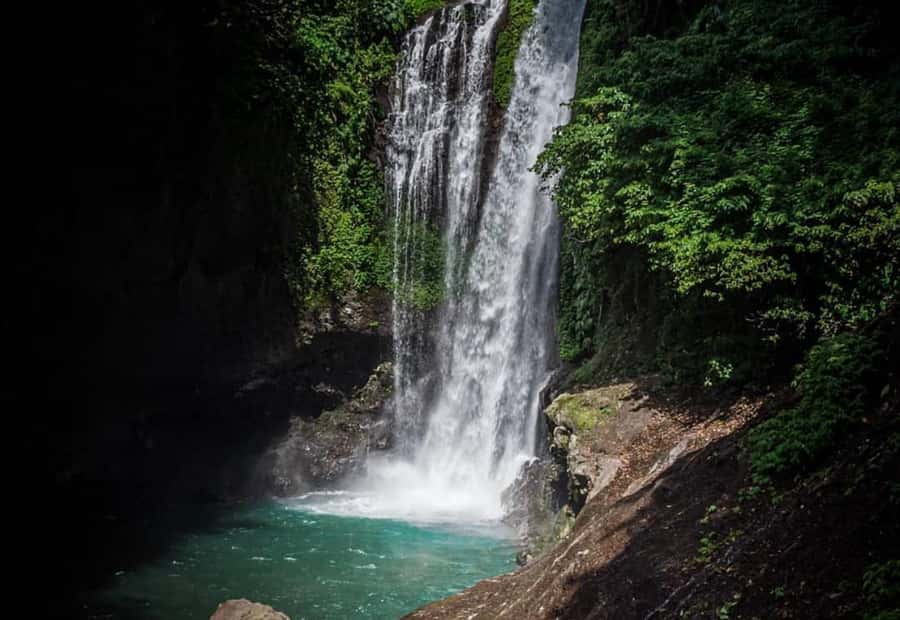Bali/Lovina: Dolphin Snorkeling, Swimming & Waterfall Tour - What to pack for a wet, early morning