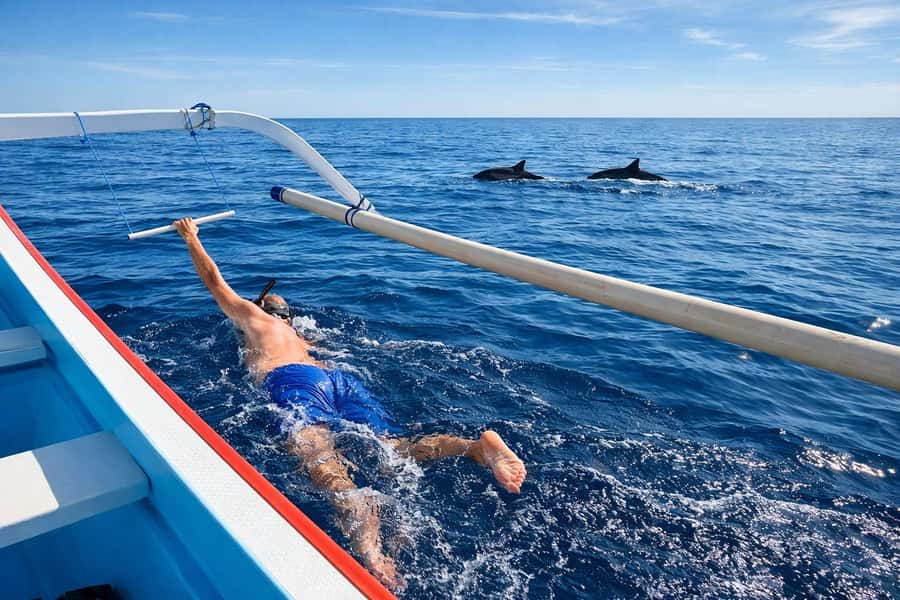 Bali/Lovina: Guided Dolphin Watching & Sunrise Boat Snorkel - Why Lovina is Bali’s dolphin coast